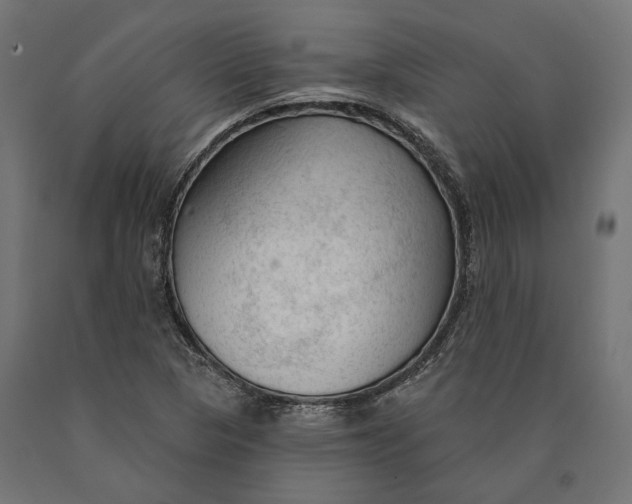 X0000090421313200708031056