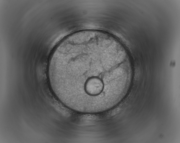 X0000090421314200708031056