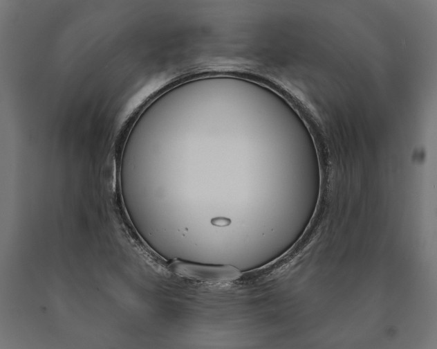 X0000090421317200708031056