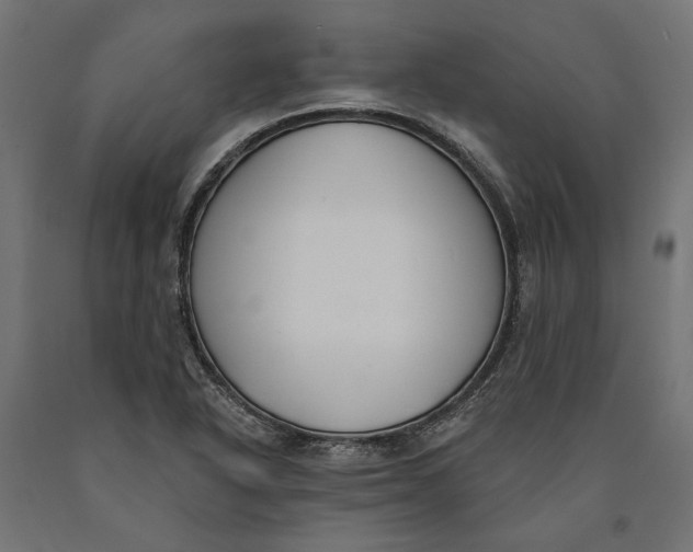 X0000090421318200708031056