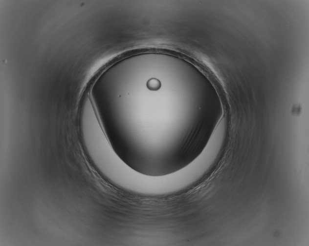 X0000090421320200708031056