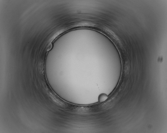 X0000090421321200708031056