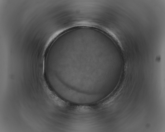 X0000090421323200708031057