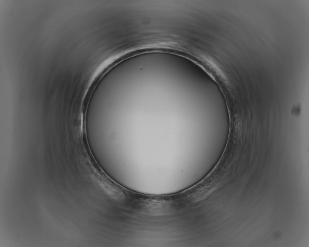 X0000090421324200708031057