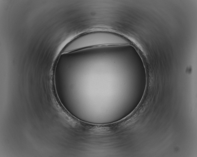 X0000090421325200708031057