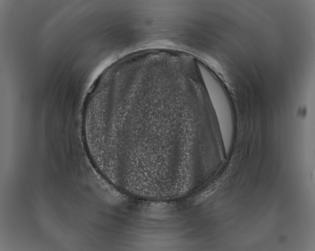 X0000090421326200708031057