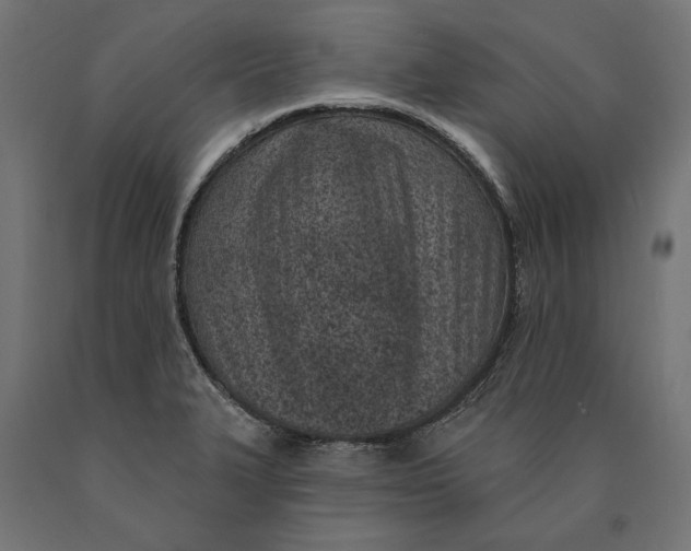 X0000090421327200708031057