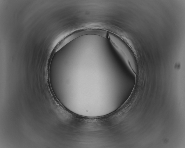 X0000090421328200708031057