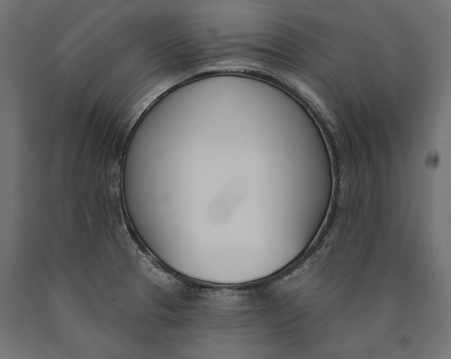 X0000090421329200708031057