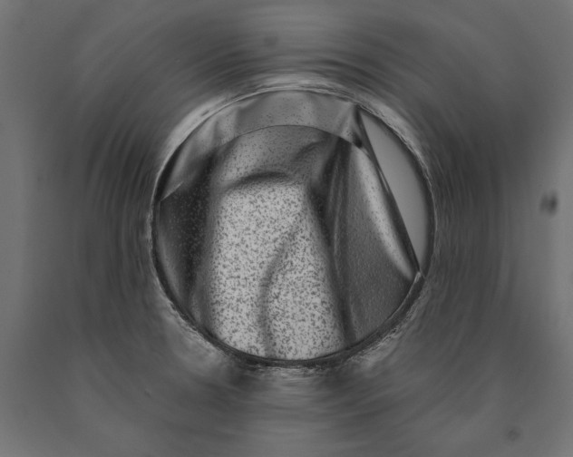 X0000090421330200708031057