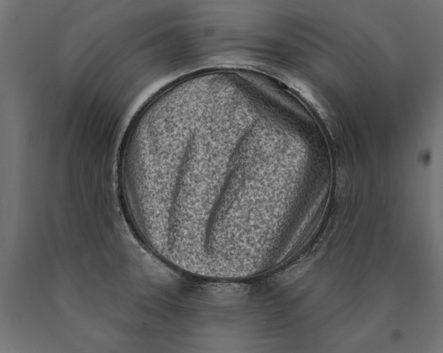 X0000090421331200708031057