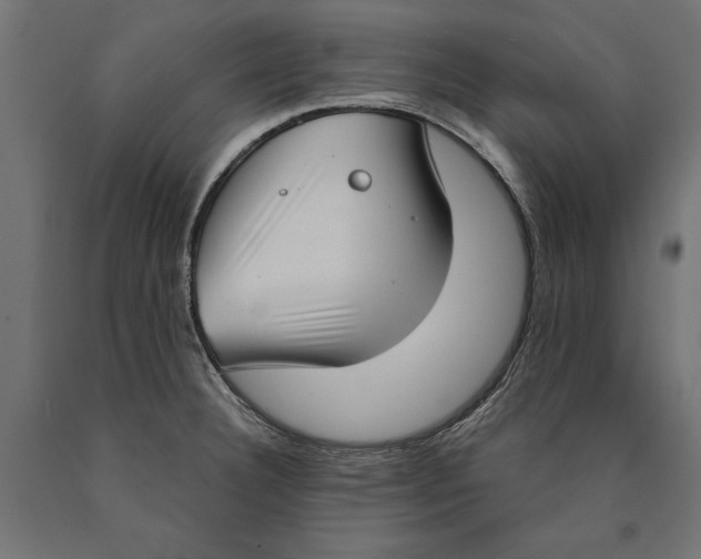 X0000090421332200708031057