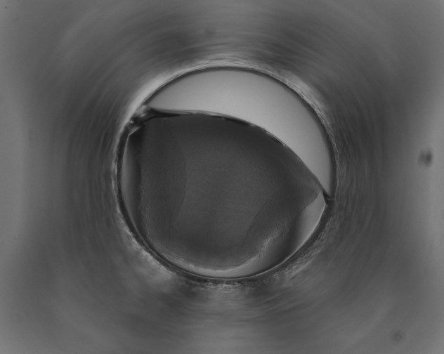 X0000090421334200708031057