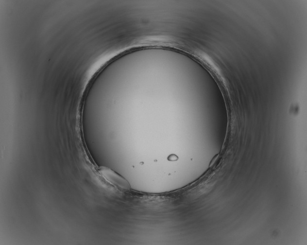 X0000090421336200708031057