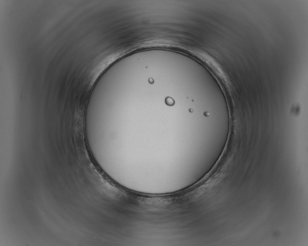 X0000090421337200708031057