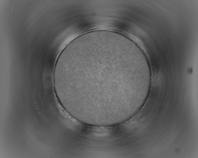 X0000090421338200708031057