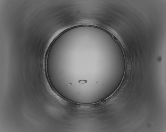 X0000090421339200708031057