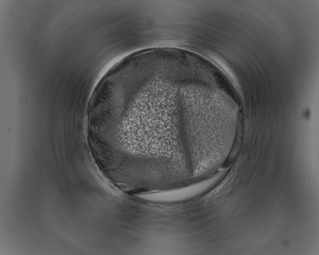 X0000090421340200708031057