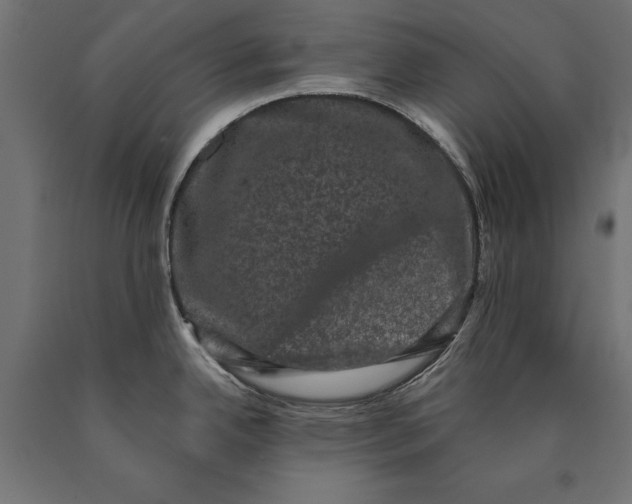 X0000090421342200708031057