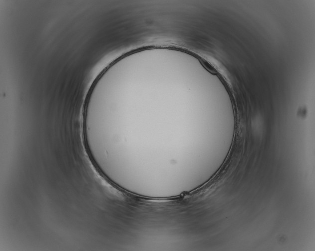 X0000090421343200708031057