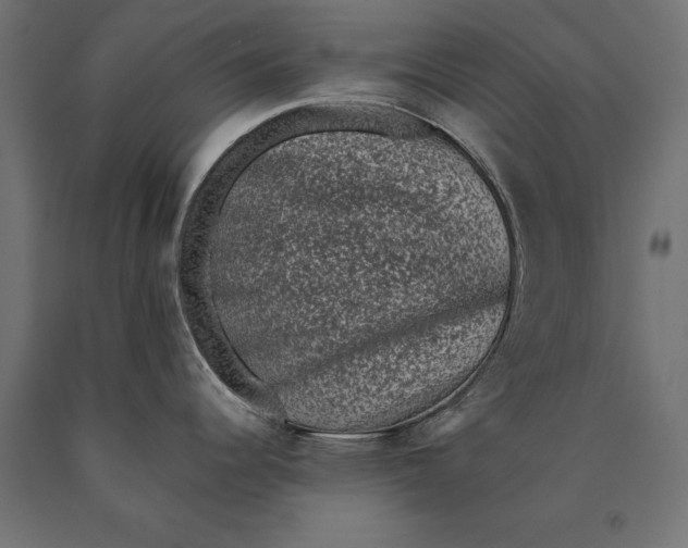 X0000090421344200708031057