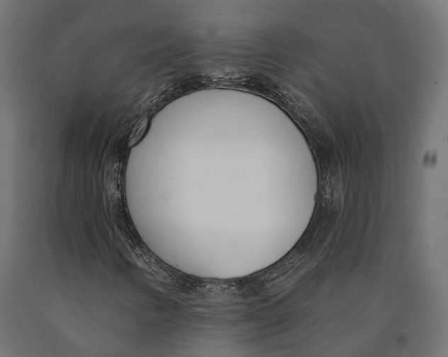 X0000090421346200708031056