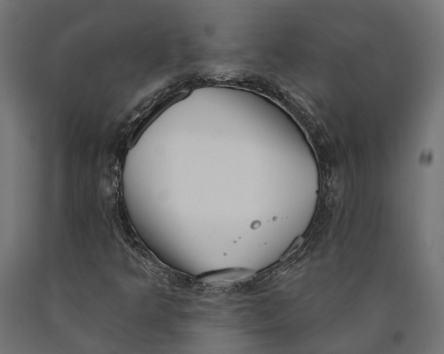 X0000090421349200708031056