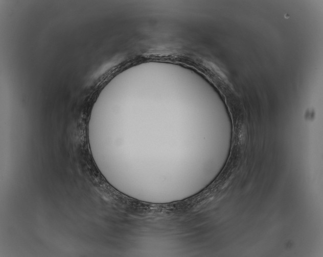 X0000090421350200708031056