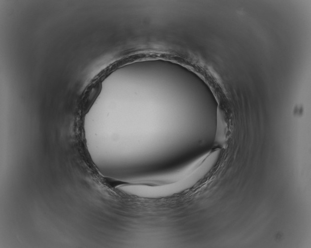 X0000090421352200708031056