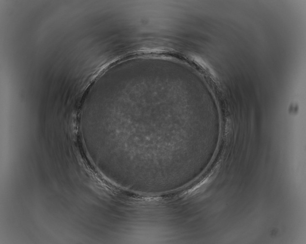 X0000090421353200708031056