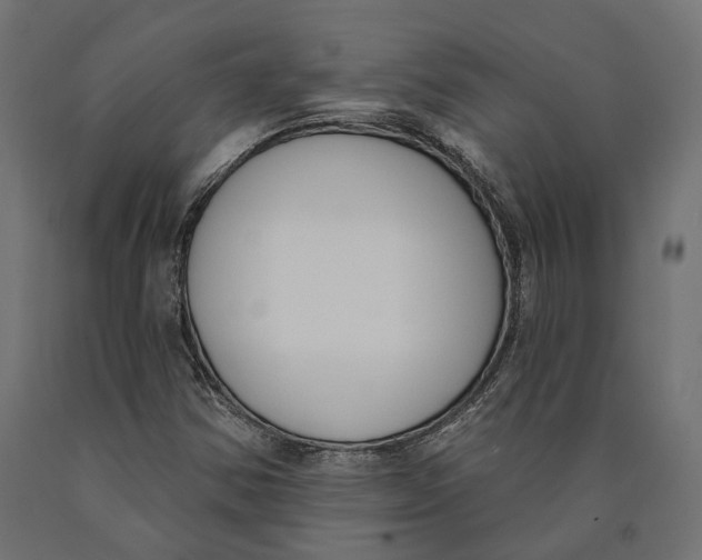 X0000090421354200708031056