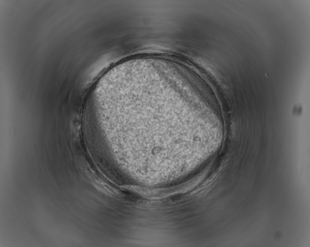 X0000090421355200708031056