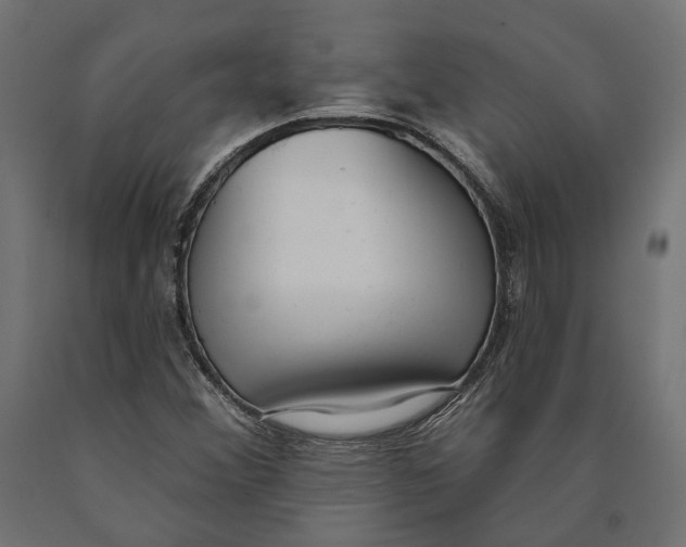 X0000090421356200708031056