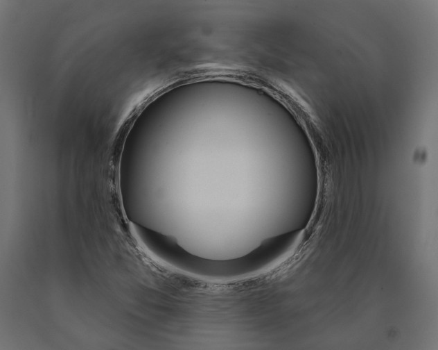 X0000090421357200708031056