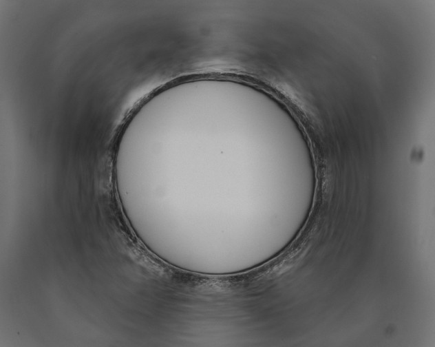 X0000090421358200708031056