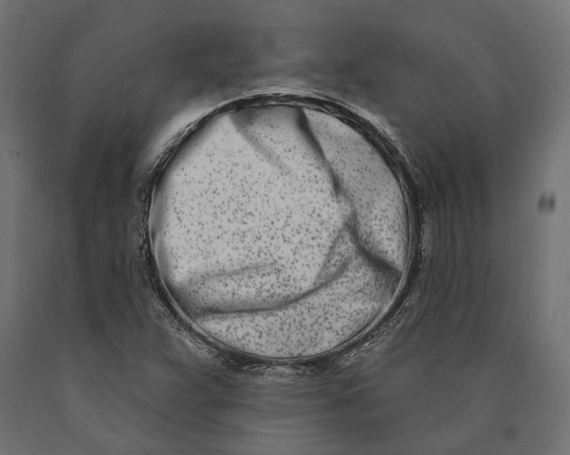 X0000090421359200708031056