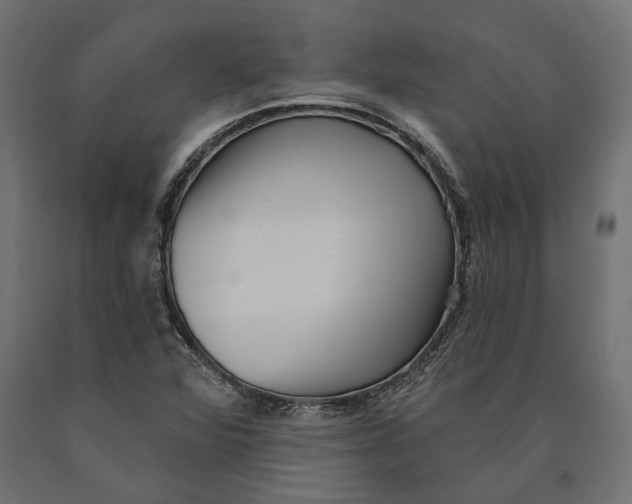 X0000090421360200708031056