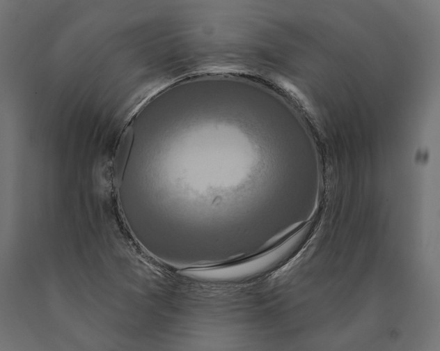 X0000090421361200708031056