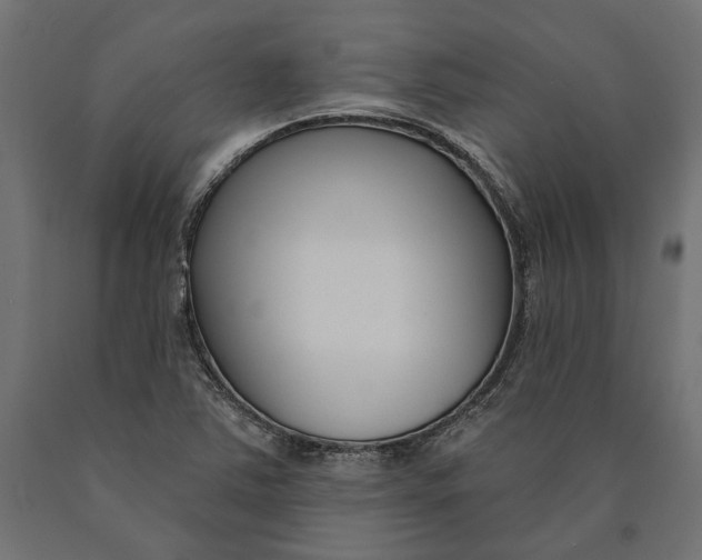 X0000090421363200708031056