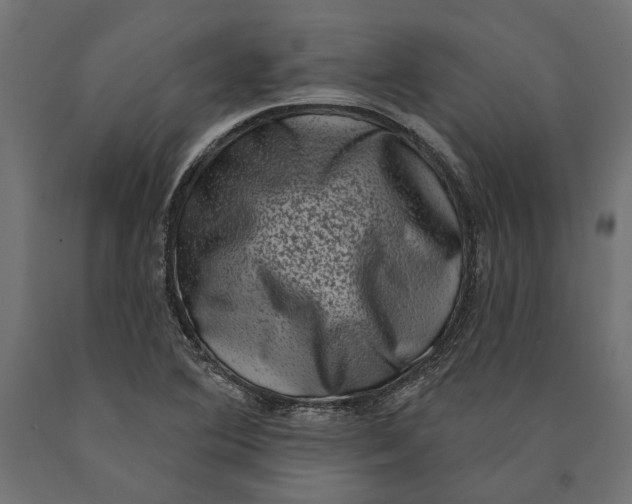 X0000090421364200708031056