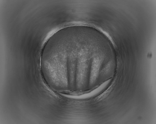 X0000090421365200708031056