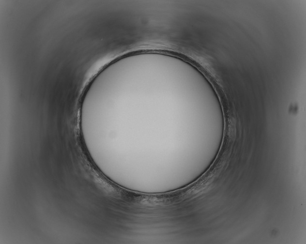 X0000090421366200708031056