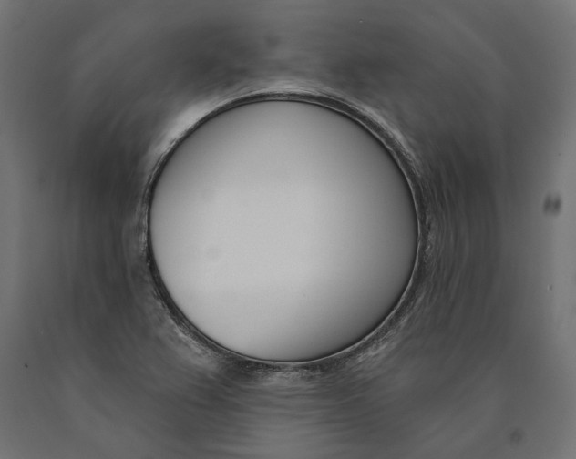 X0000090421367200708031056