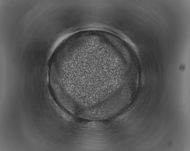 X0000090421368200708031056