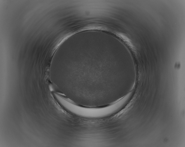 X0000090421369200708031056