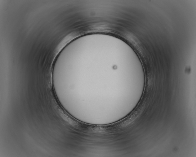 X0000090421370200708031056