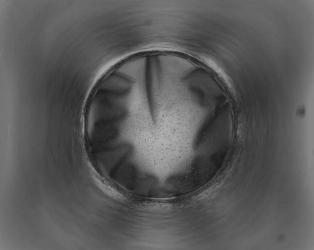 X0000090421372200708031056