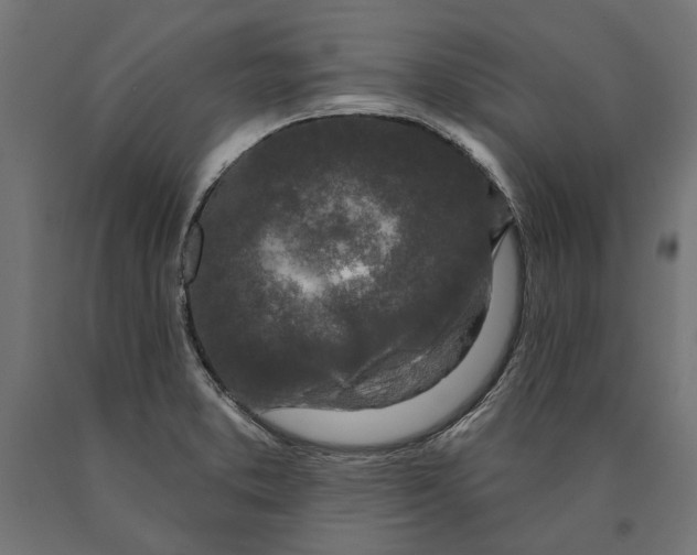 X0000090421373200708031056