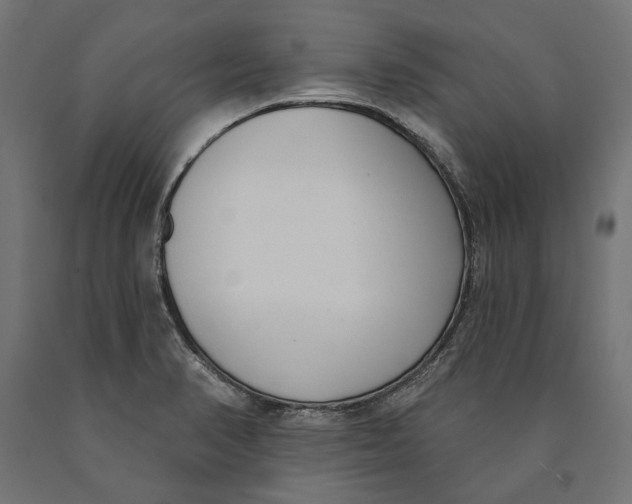 X0000090421374200708031056