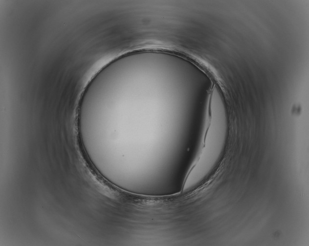 X0000090421375200708031056